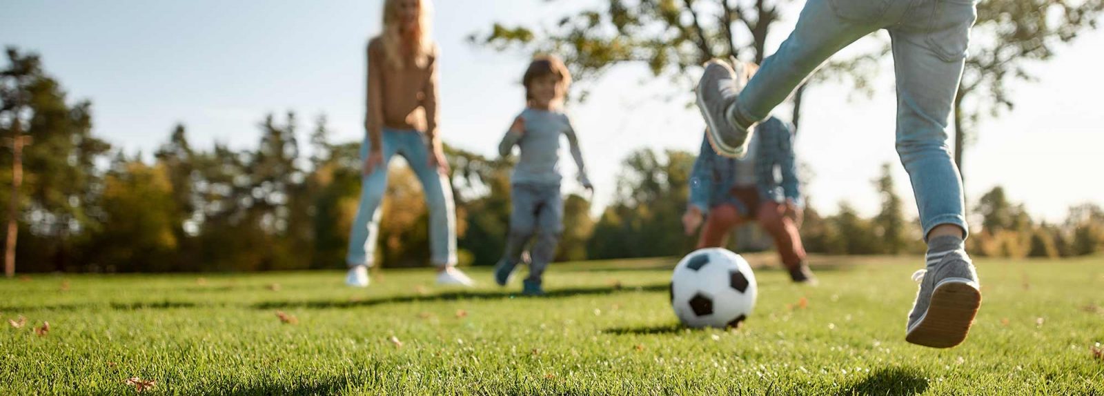 Over ons Van Grasman Graszaad header