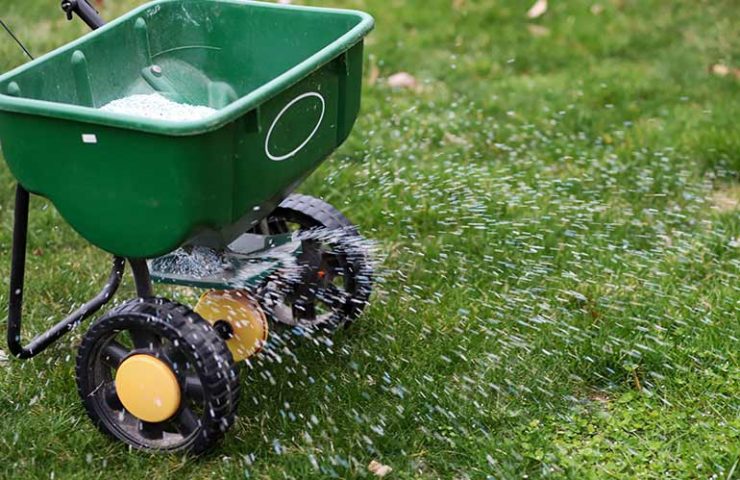 Gras bemesten Alle ins- en outs omtrent bemesting van gazon en weide