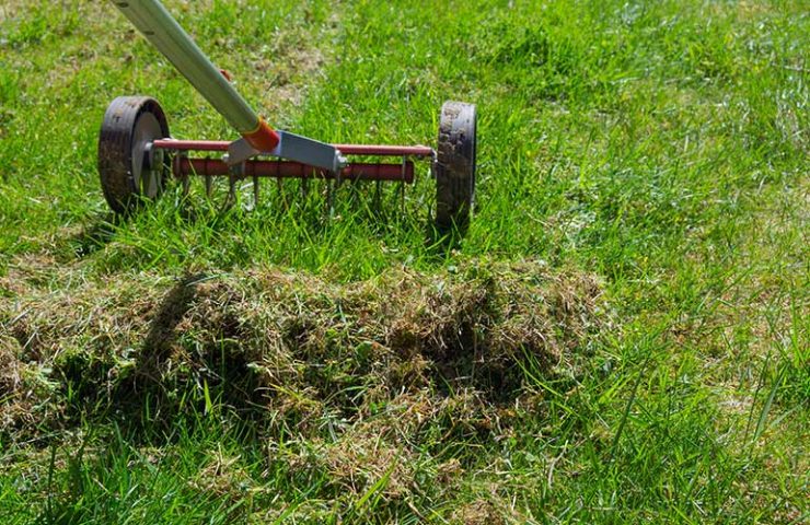 Gazon Verticuteren - Van Grasman