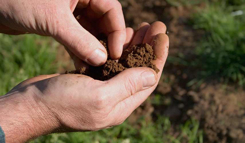 grassen bemesten header