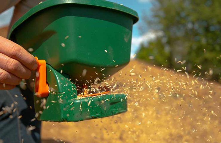 Hoeveel graszaad voor bijzaaien