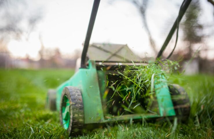 Gemaaid gras laten liggen