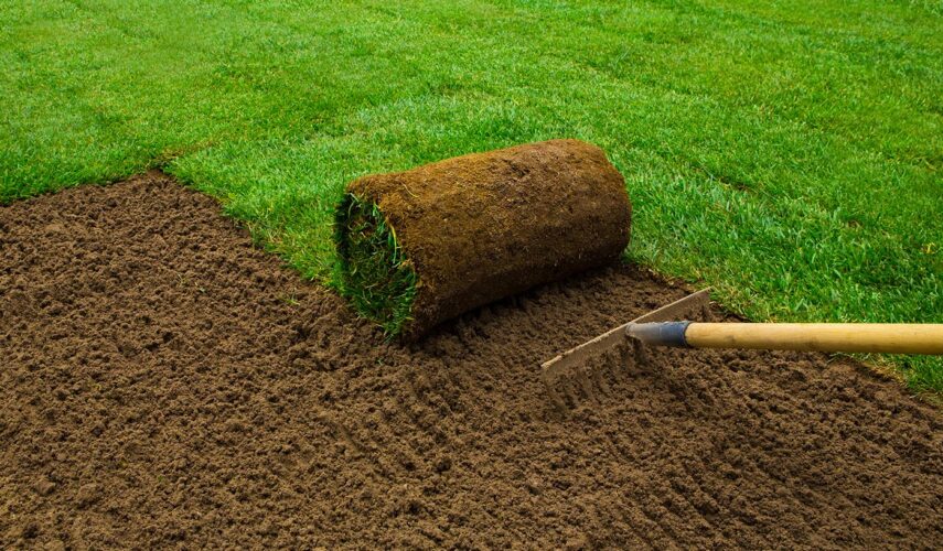 Hoe graszoden leggen header foto