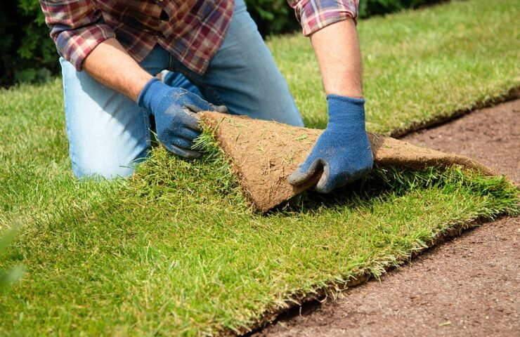 Wanneer graszoden leggen