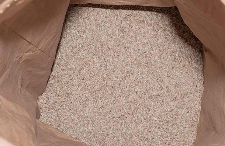 Wanneer kiemt graszaad