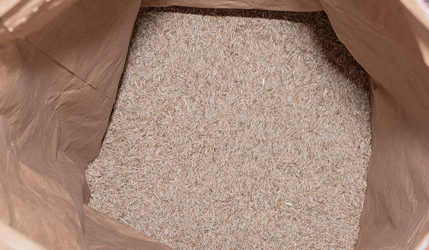 Wanneer kiemt graszaad